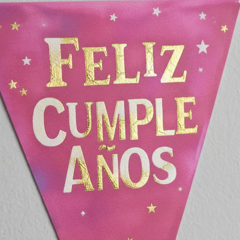 Banderín Triángulos Feliz Cumpleaños Decoración Fiesta Rosa