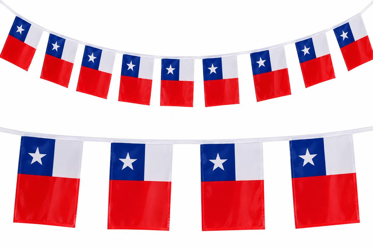 Guirnalda De Banderas Chilenas De Tela 30x25 Fiestas Patrias