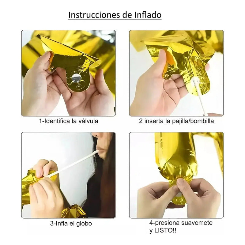 Set 6 Globos Látex Capibara Capybara Cumpleaños Marrón